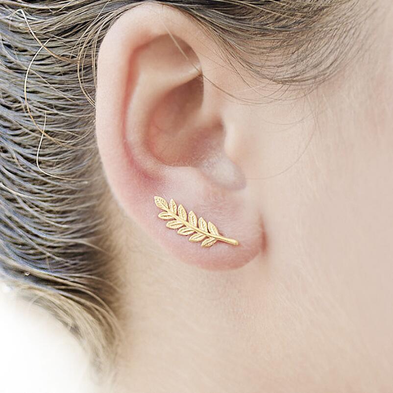 Summit Arc Ear Climber